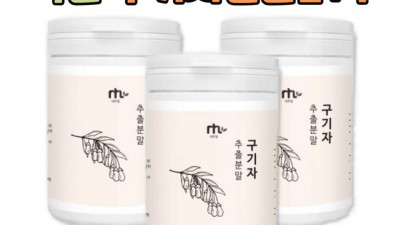 놓치면 후회! 강원구기자 리얼 후기 & 꿀팁 대방출 🍯