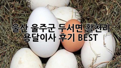 울산 울주군 두서면 활천리 용달이사 후기 BEST